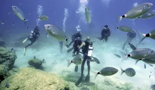 Kusadasi Scuba Diving - 3